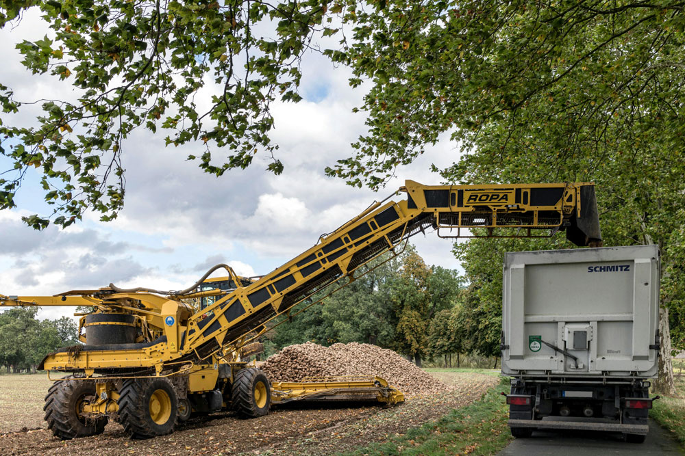 gestion-medioambiental